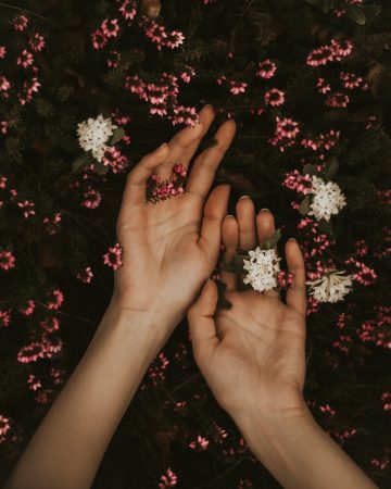 Milan Popovic - hand with flowers